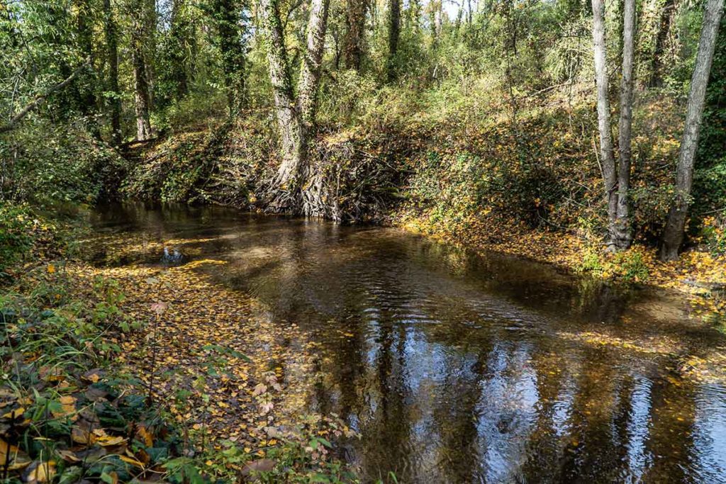 Rio Ruta Senda Pescadores