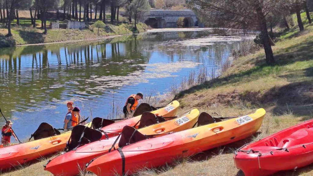 Kayaks